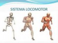 /album/fotogaleria-locomotor/descarga-1-jpg/